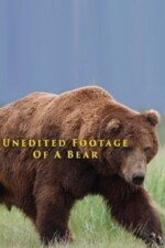 Movie Unedited Footage of a Bear