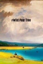 Movie The Wild Pear Tree