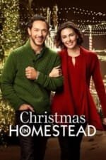 Movie Christmas in Homestead