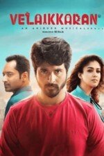 Movie Velaikkaran