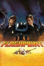 Movie Flashpoint